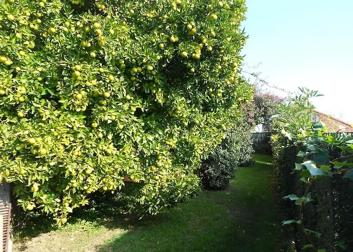 Holiday home Casa Mozos, A 9 Kilometros De Santander Y A 6 De Cabarceno